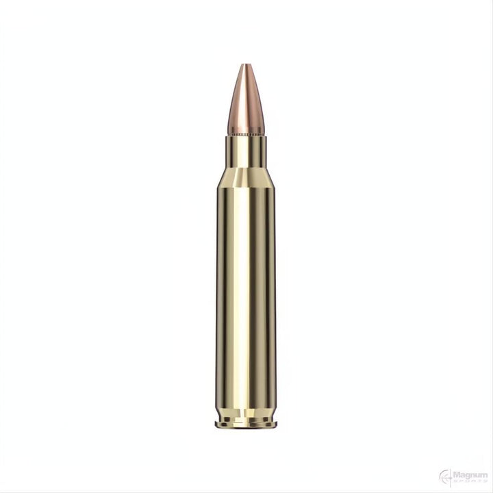 Hornady 223 REM 55gr HP AG