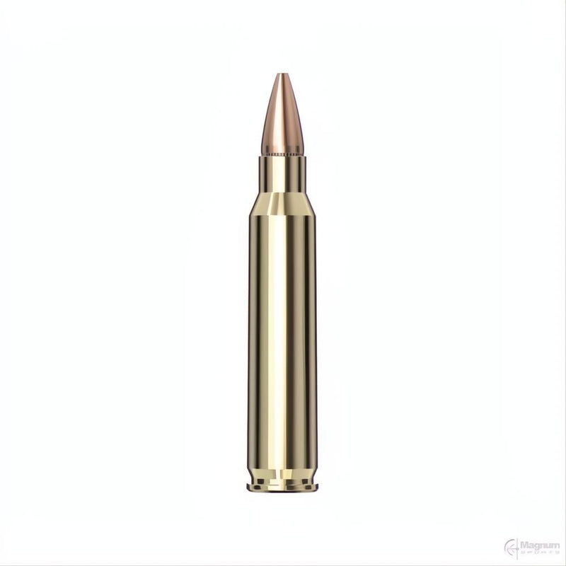 Load image into Gallery viewer, Hornady 223 REM 55gr HP AG
