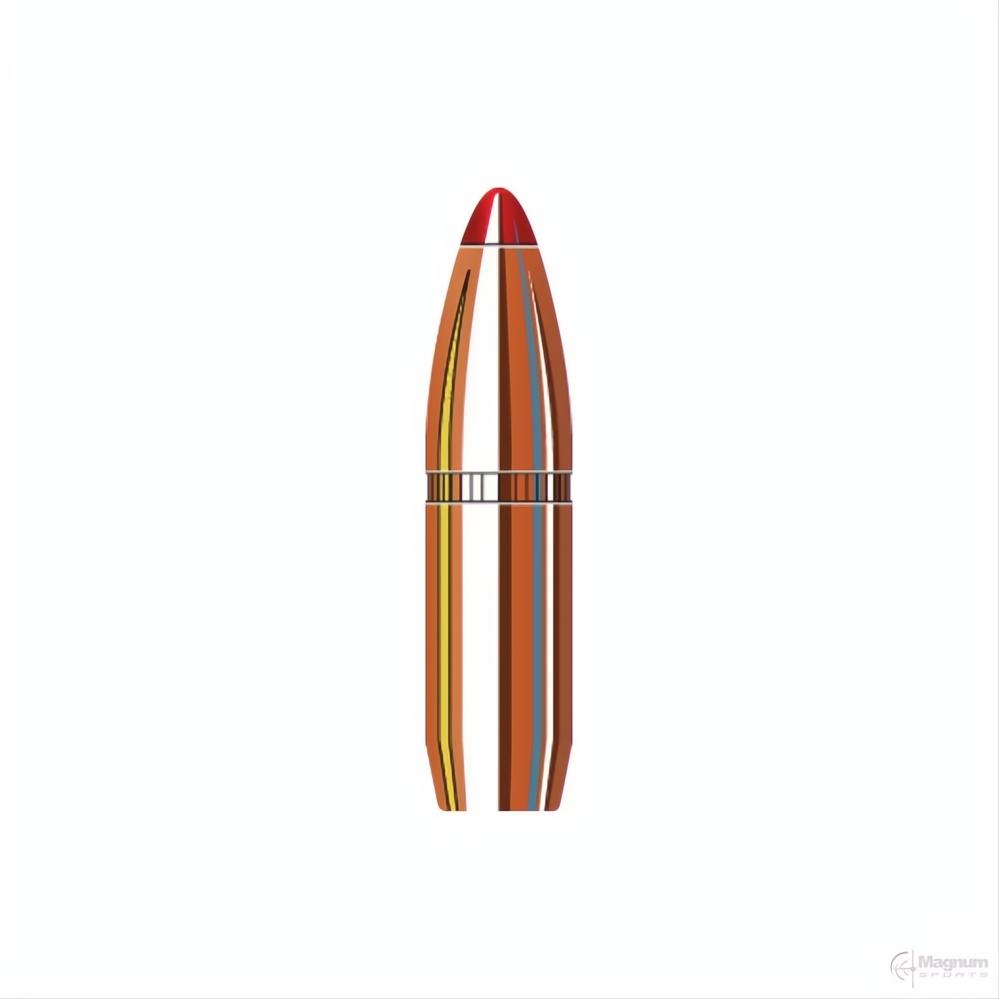 Hornady 25 Cal (.257 Diameter) FTX 110gr Projectiles