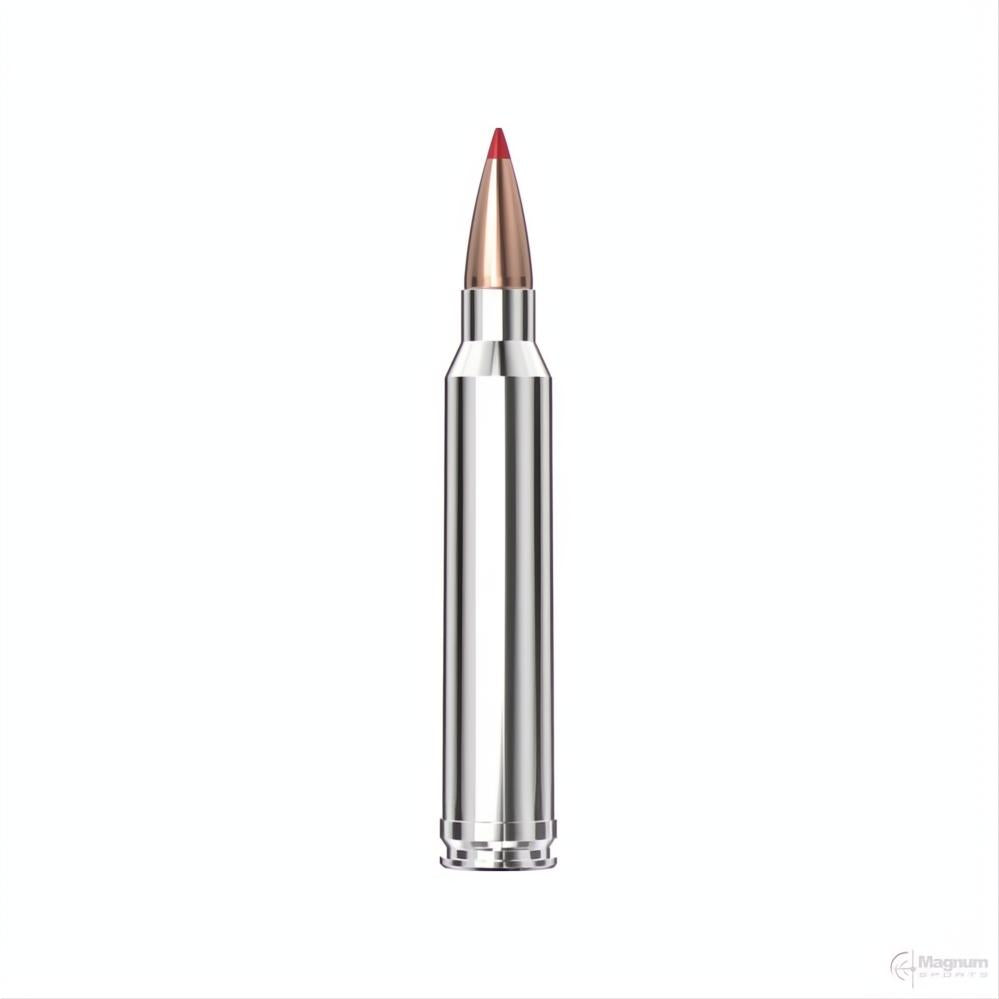Hornady 300 WIN MAG 180gr CX OTF