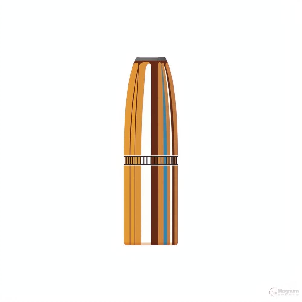 Hornady 375 Cal (.375 Diameter) DGX Bonded 300gr Projectiles