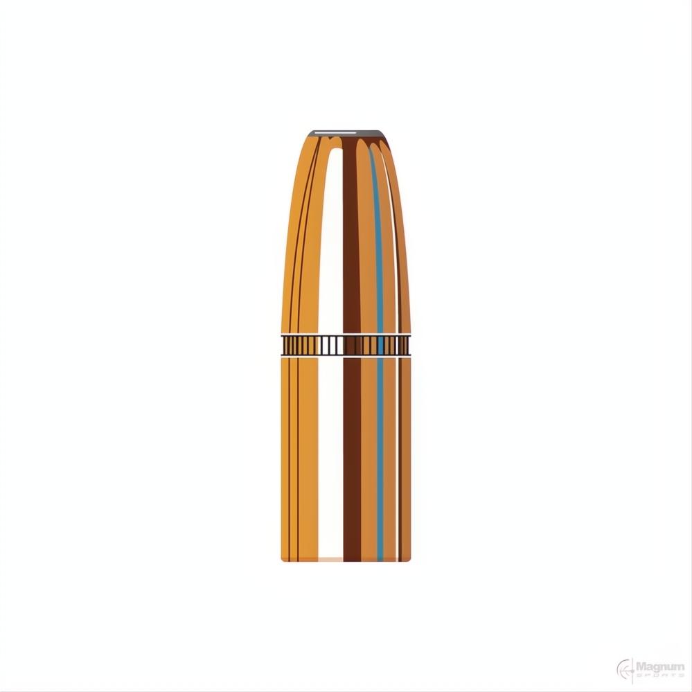 Hornady 416 Cal (.416 Diameter) DGX Bonded 400gr Projectiles