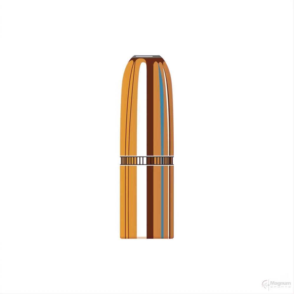 Hornady 423 Cal (.423 Diameter) DGX Bonded 400gr Projectiles