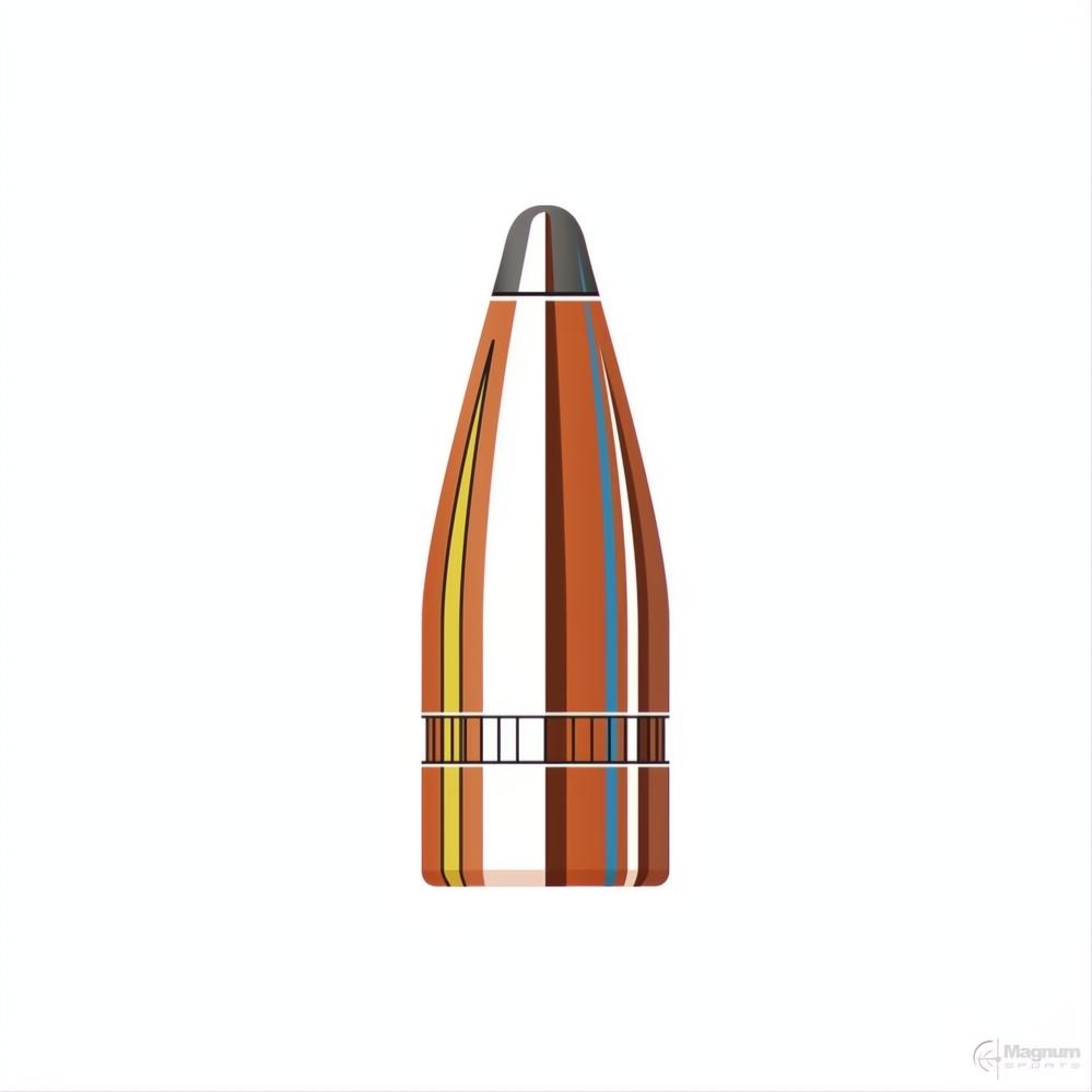 Hornady 7.62 Cal (.310 Diameter) SP 123gr Projectiles
