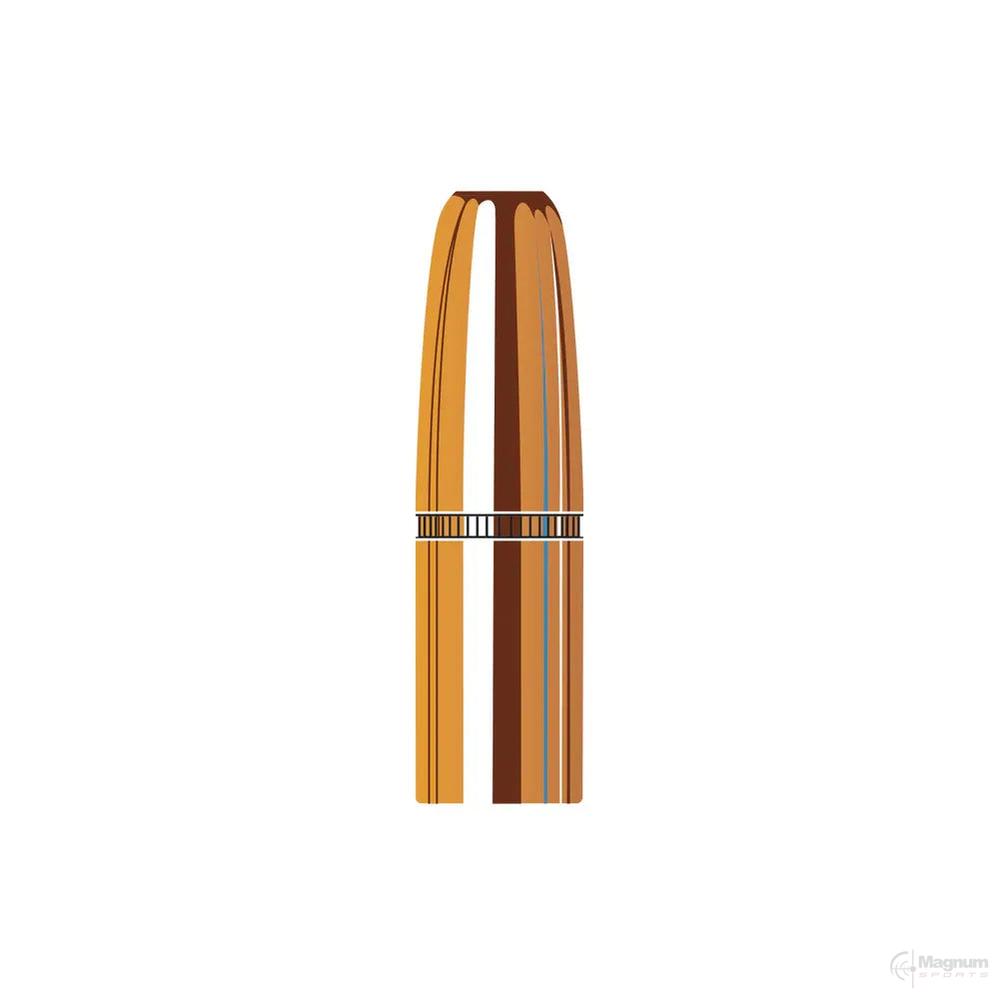 Hornady 9.3mm (.366 Diameter) DGS 300gr Projectiles