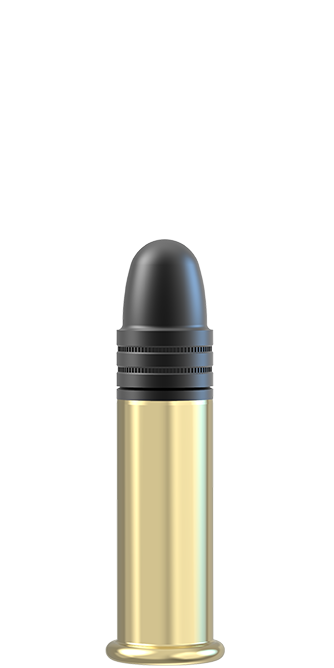 Lapua 22LR 40gr SUPER LONG RANGE