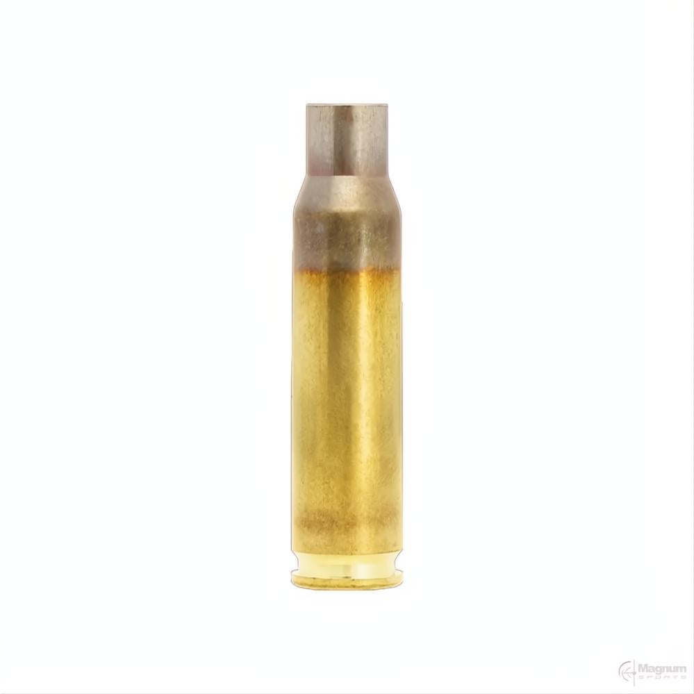Lapua BRASS 308 WIN
