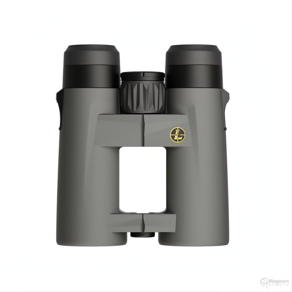 Leupold BX-4 Pro Guide HD 10x42 Gen 2
