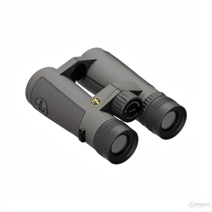 Leupold BX-5 Santiam HD 10x42