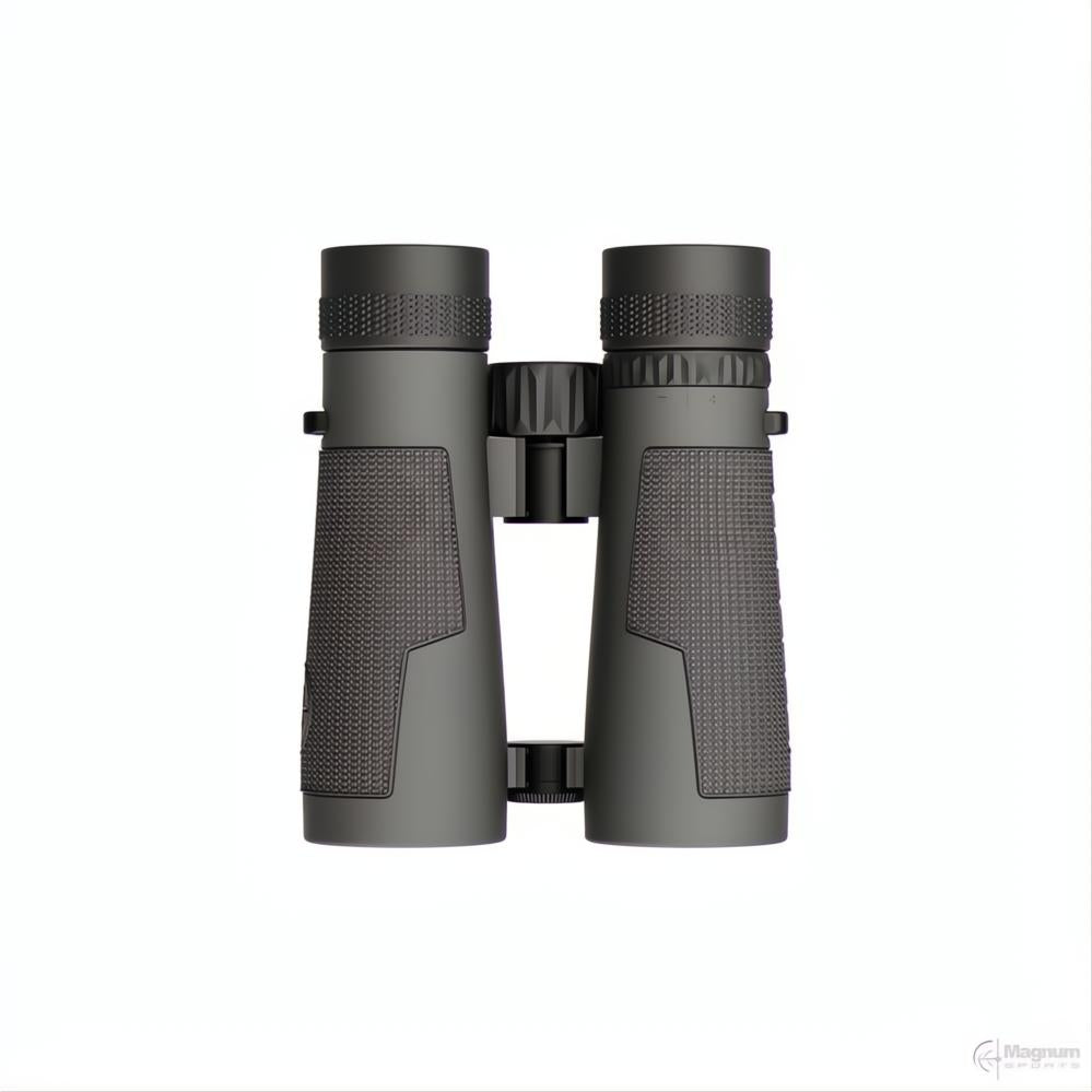 Leupold BX-5 Santiam HD 10x42