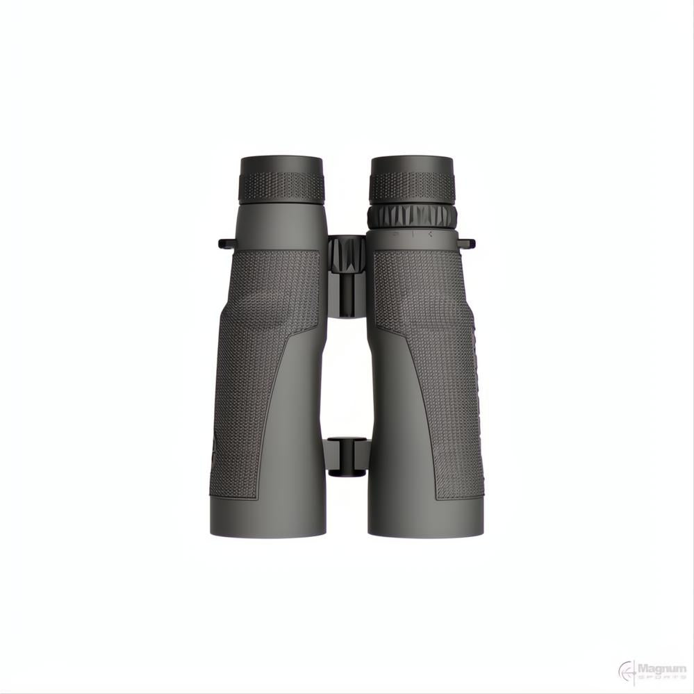 Leupold BX-5 Santiam HD 10x50