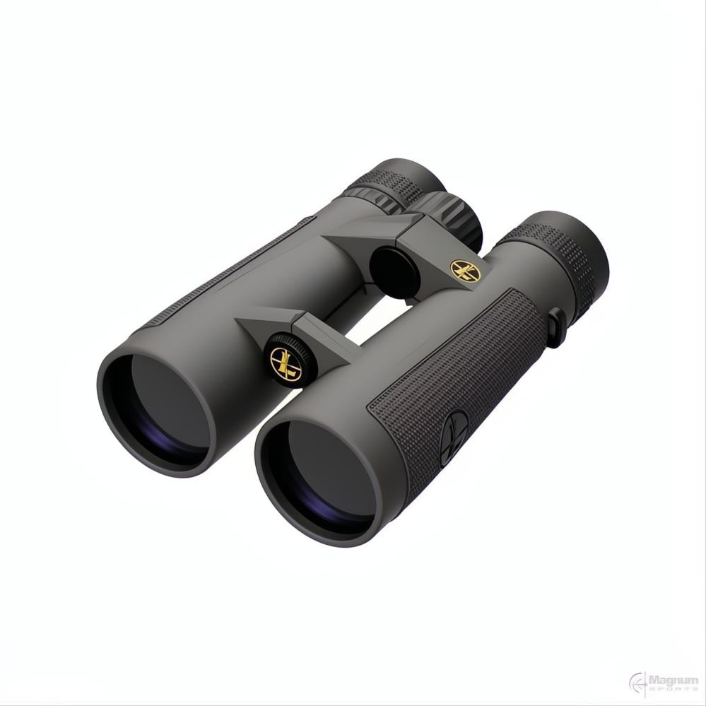 Leupold BX-5 Santiam HD 10x50