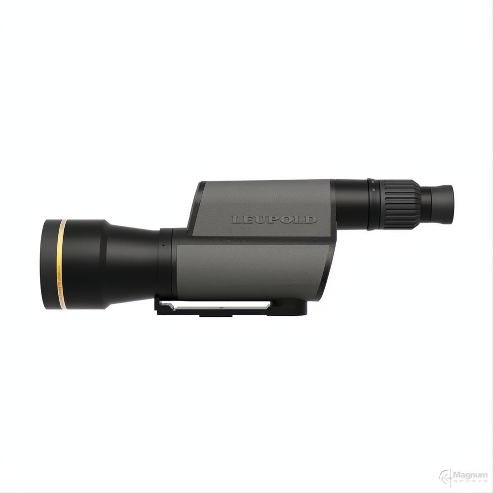Leupold Golden Ring 20-60x80 Grey