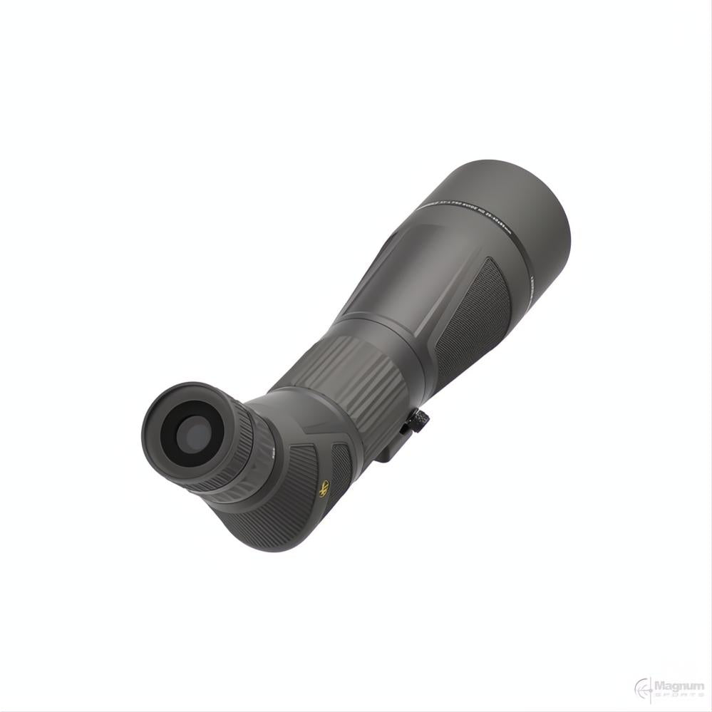 Leupold SX-4 Pro Guide HD 20-60x85