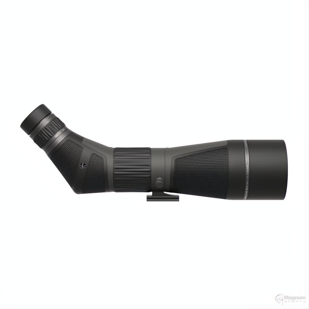 Leupold SX-4 Pro Guide HD Gen2 20-60x85 Angled