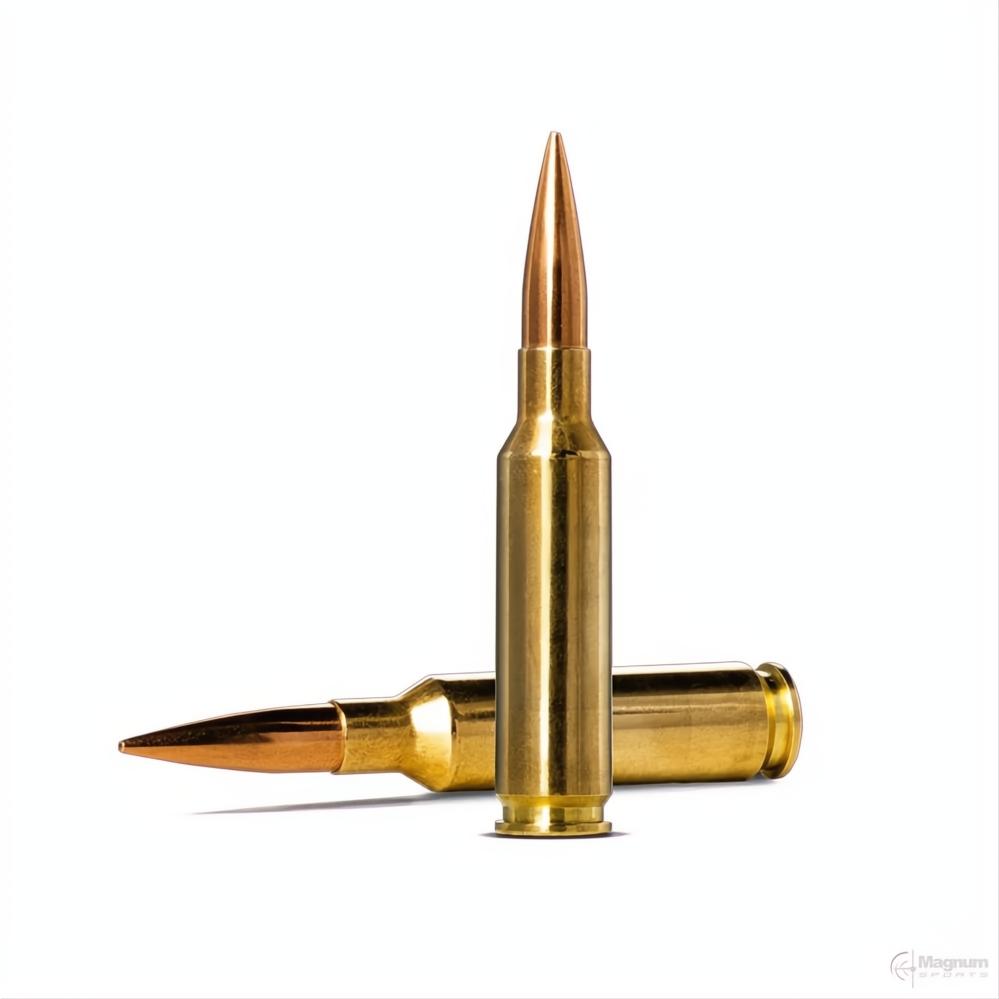Norma 6.5 CM 143gr Golden Target