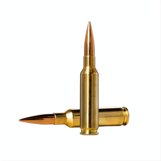Norma 6.5 CM 143gr Golden Target