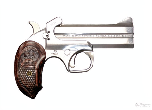 Pre-Owned | Bond Arms Snake Slayer - .45 Colt / .410 Shotgun (3")