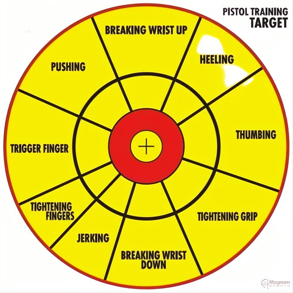 Target Regularity Training Proshot Pistol Training Target – Magnum Sports
