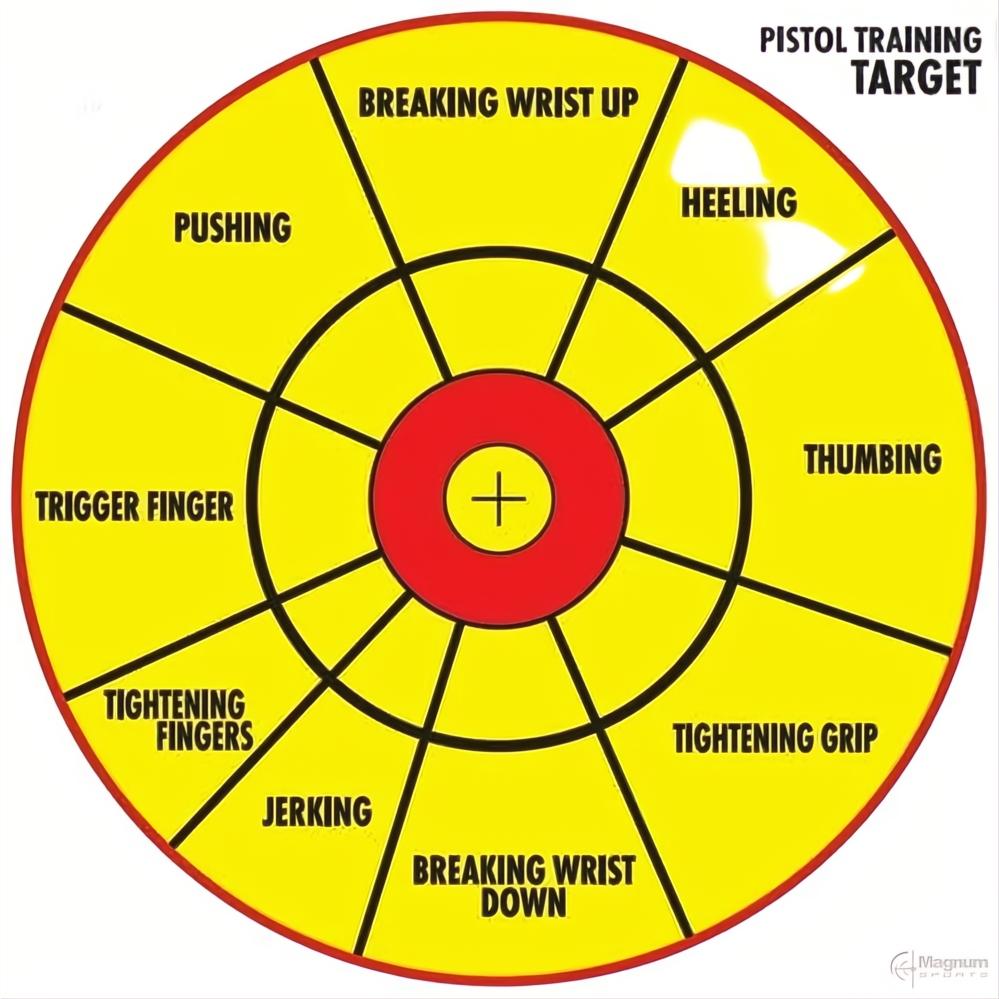 Proshot Pistol Training Target