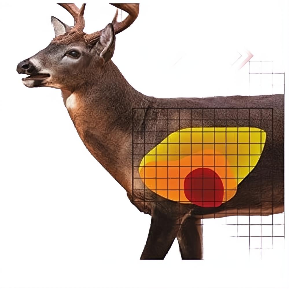 Proshot Whitetail Targets
