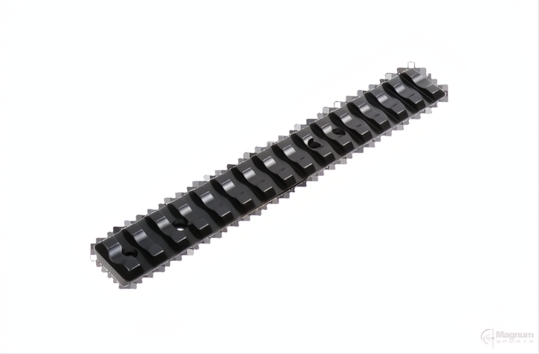 Recknagel Ruger 10/22 Picatinny Rail
