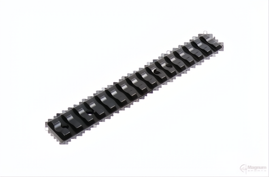 Recknagel Ruger 10/22 Picatinny Rail
