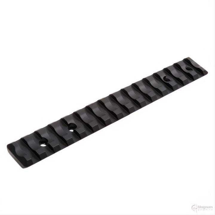 Recknagel Tikka Picatinny Rail