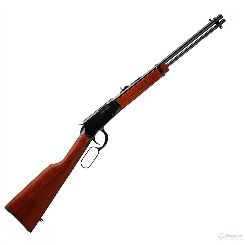 Rossi Rio Bravo