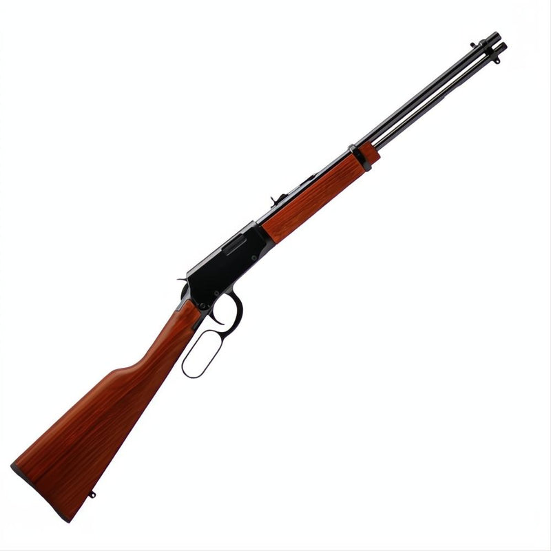Rossi Rio Bravo