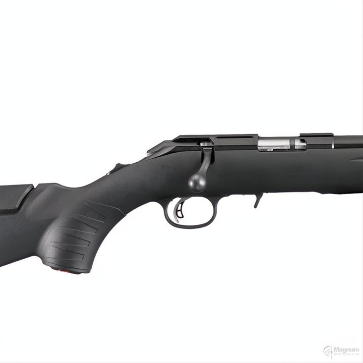 Ruger American Rimfire Black