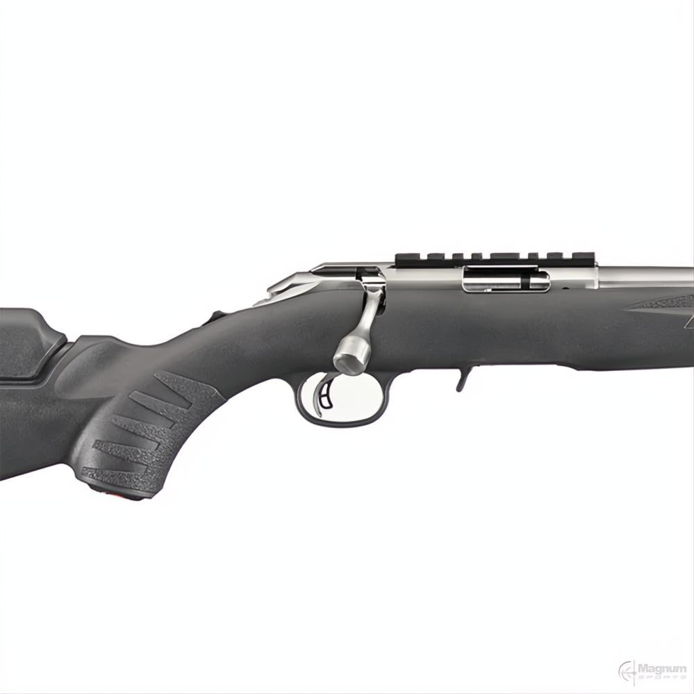 Ruger American Rimfire Stainless