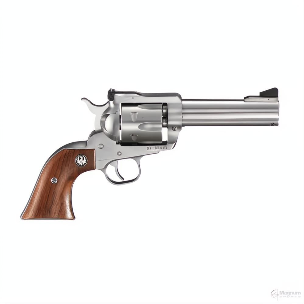 Ruger Blackhawk Stainless