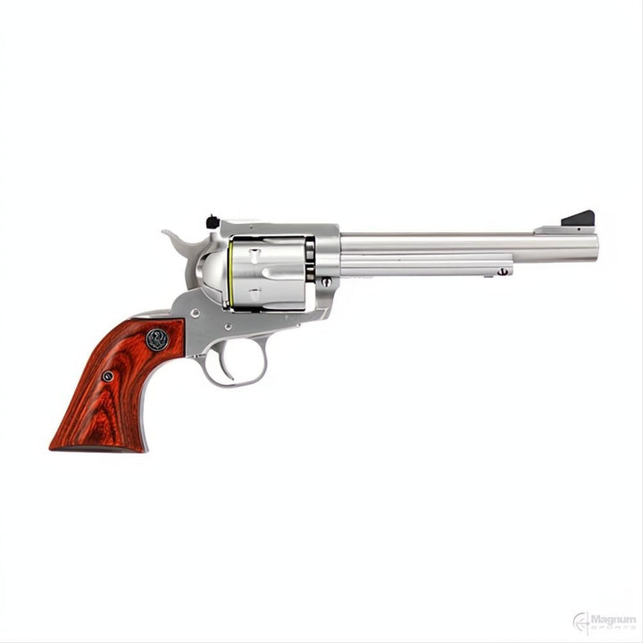 Ruger Blackhawk Stainless