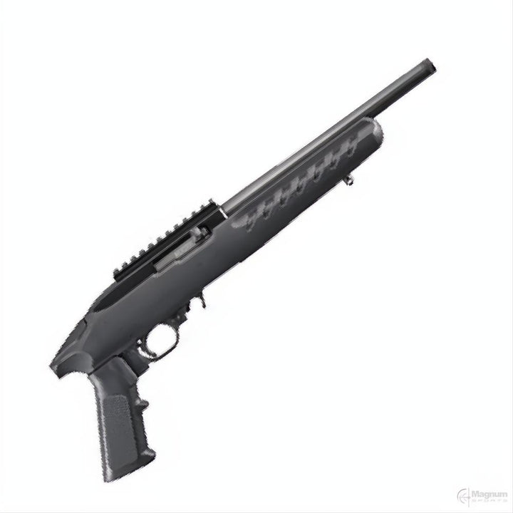 Ruger Charger Blue Synthetic