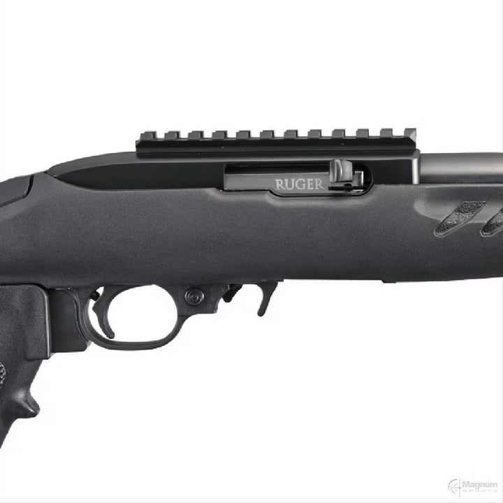 Ruger Charger Blue Synthetic