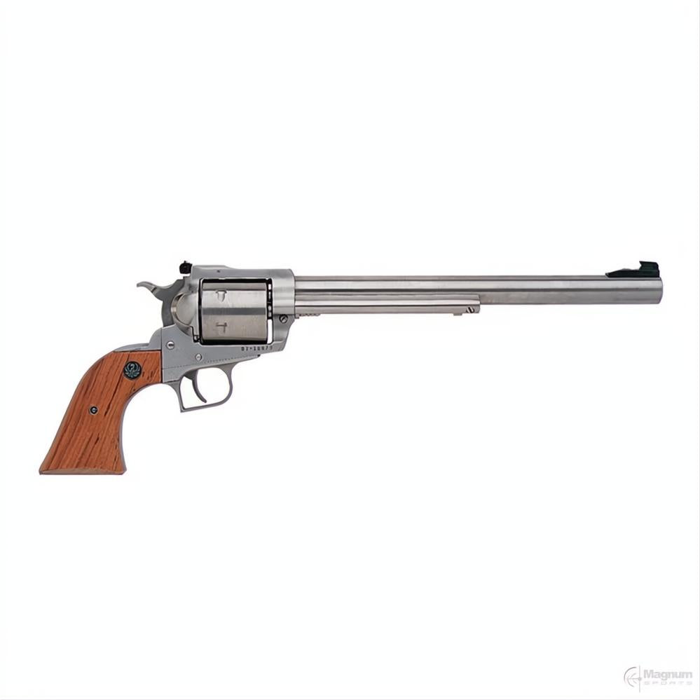 Ruger Super Blackhawk Stainless
