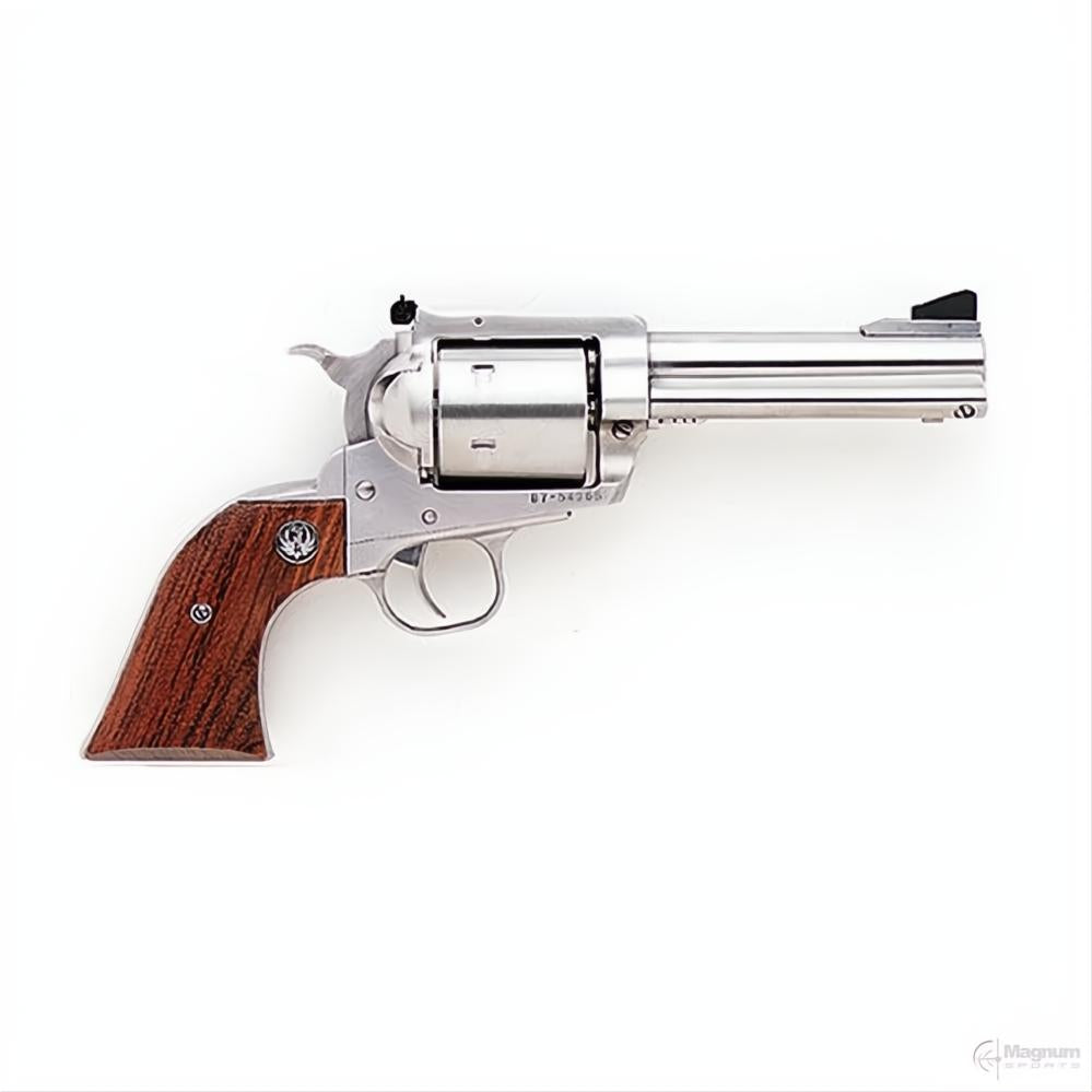 Ruger Super Blackhawk Stainless