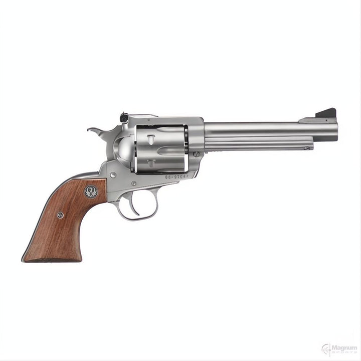 Ruger Super Blackhawk Stainless