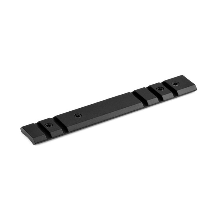 Warne Ruger 10/22 2 Piece Base