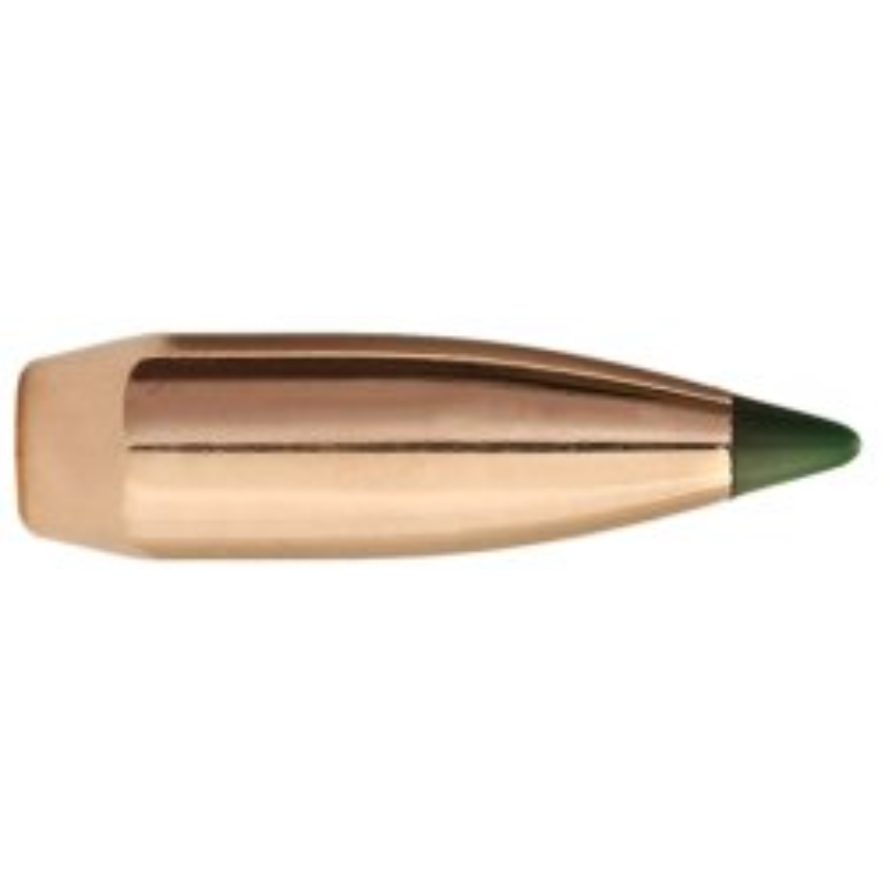 Sierra 6mm 70gr BliztKing 100&
