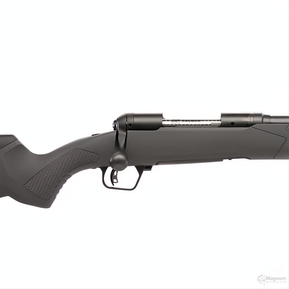 Savage 110 Varmint