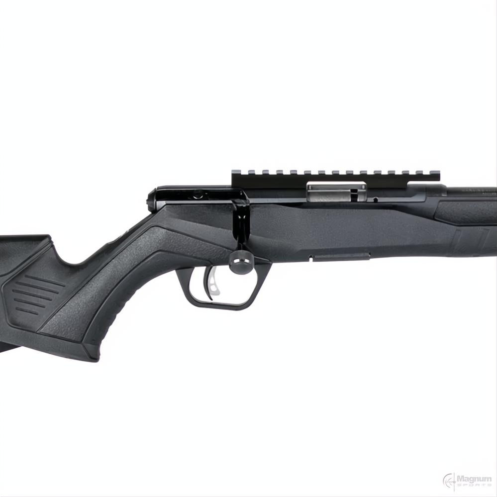 Savage B17 FV Blued Varmint
