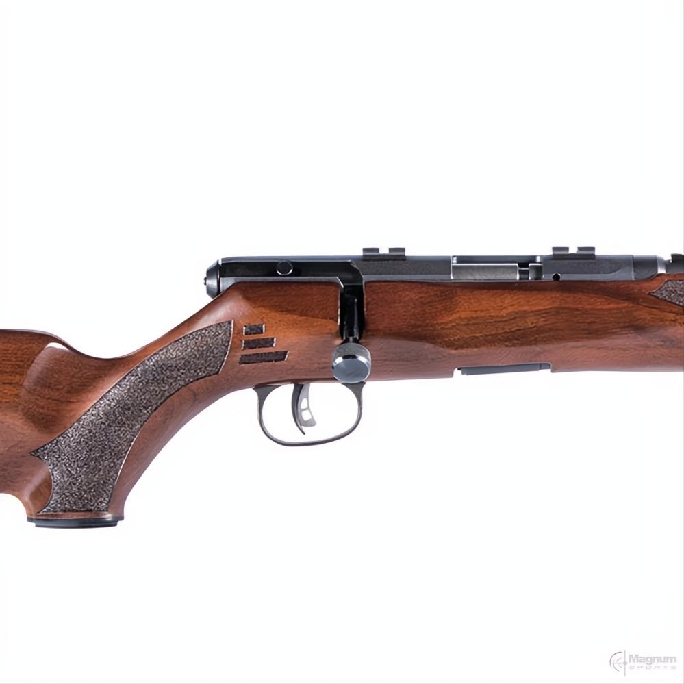 Savage B17 G Blued Wood
