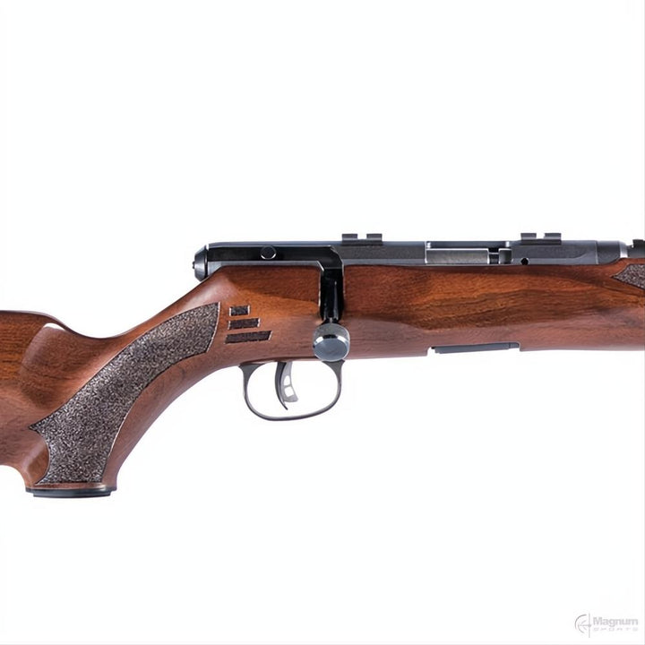 Savage B17 G Blued Wood