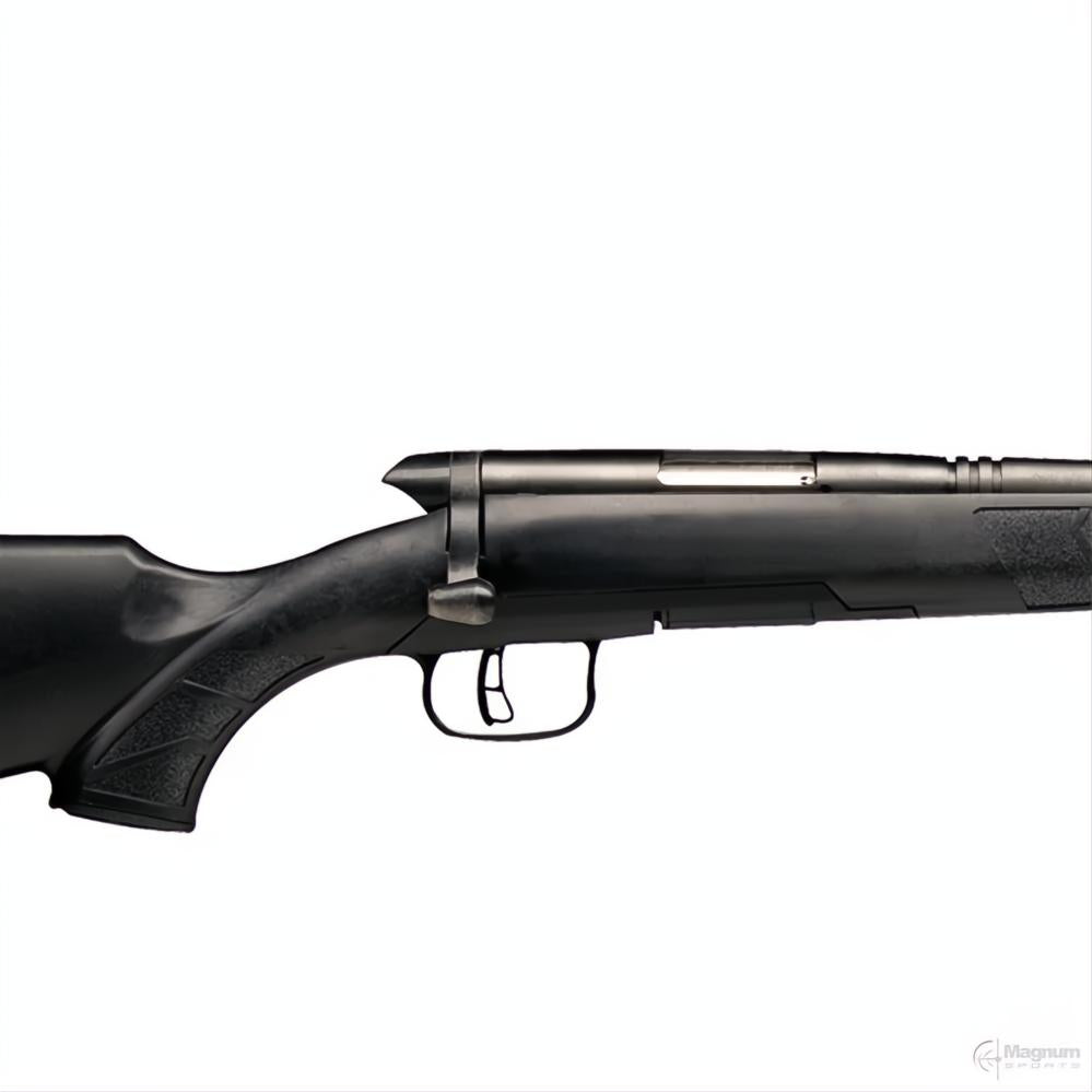 Savage BMAG Varmint