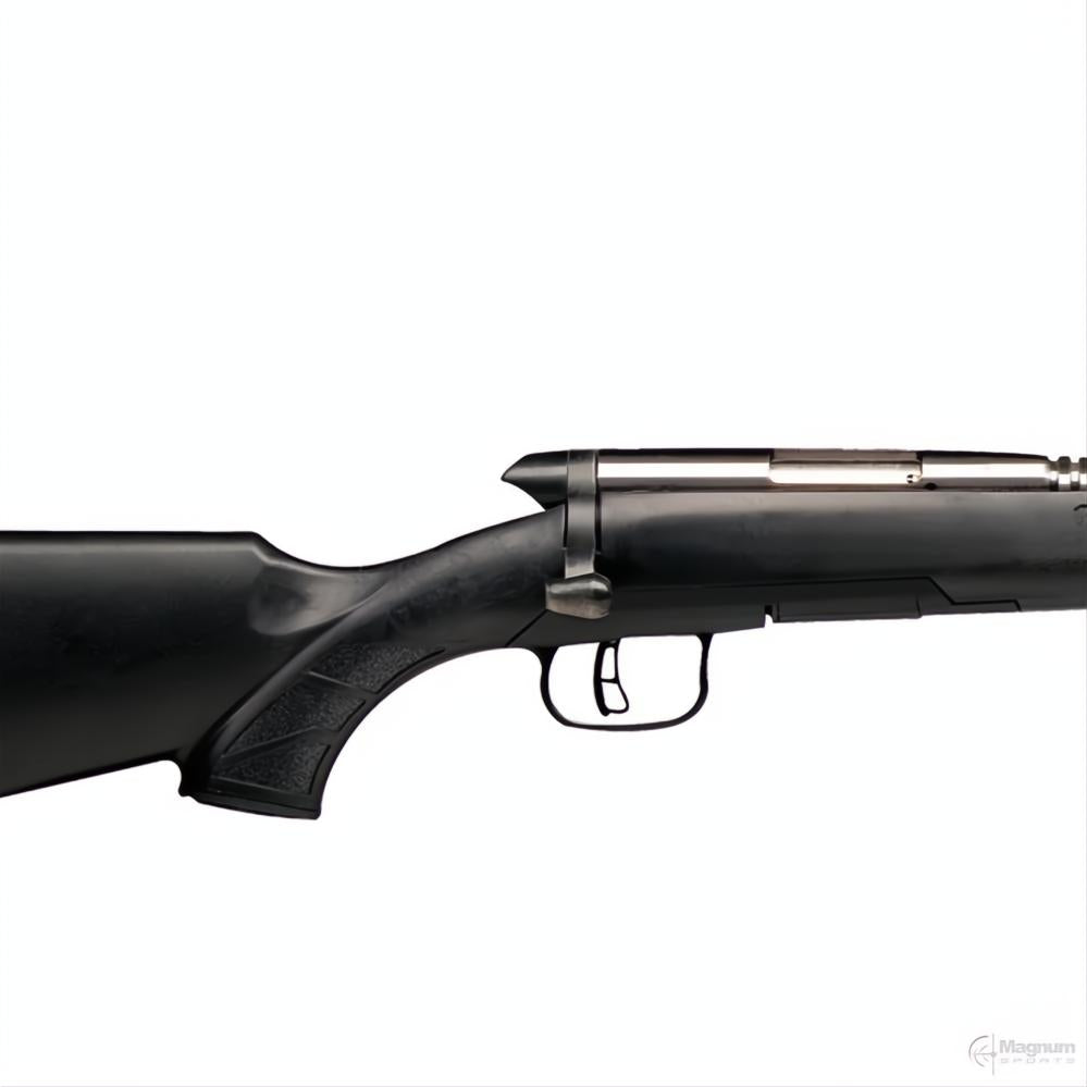 Savage BMAG Varmint Stainless