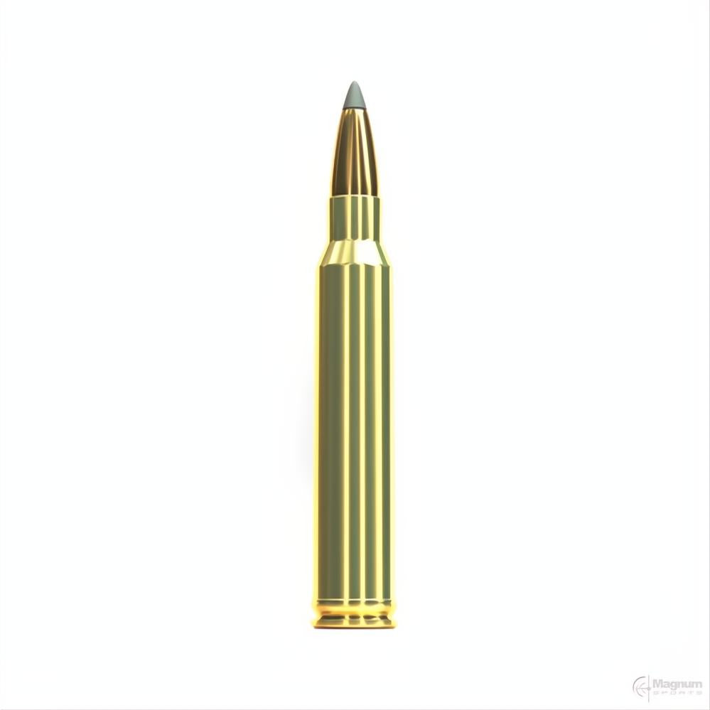 Sellier And Bellot 300 Win Mag 200gr SBT Sierra