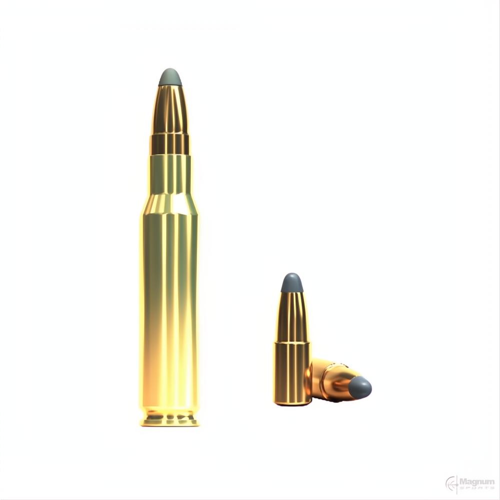 Sellier &amp; Bellot S&amp;B 308 Win 150gr SPCE