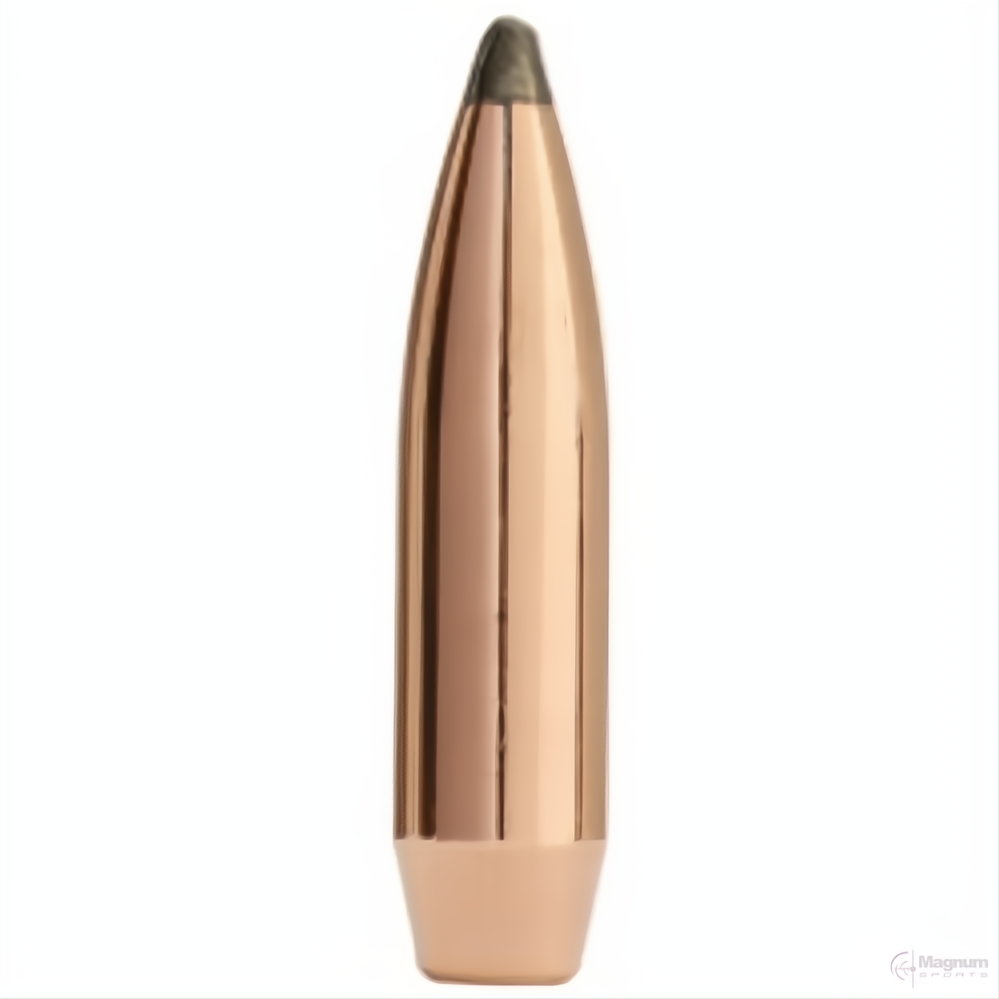 Sierra 6mm 100gr Spitzer Boat Tail